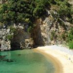 Cooperativa Cilento Blu